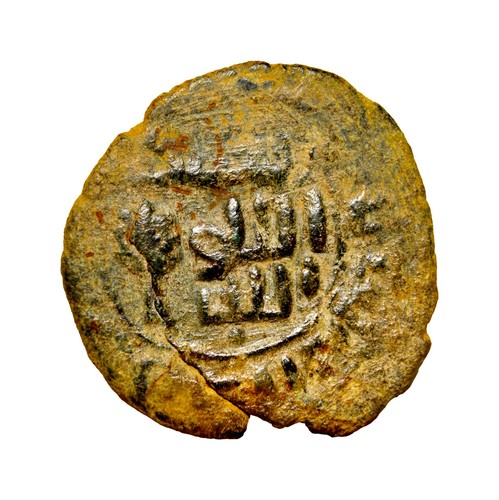 Umayyad fals ramla - ramla, tree
