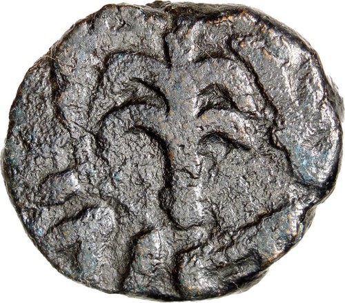 Umayyad caliphate fals - umayyad,