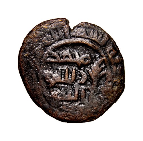 Umayyad fals ramla palm - umayyad,